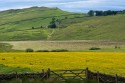 20130624_Schottland_00148