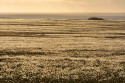 20130630_Schottland_01178