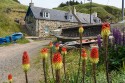 20130705_Schottland_02562