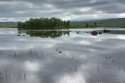 20130710_Schottland_04779