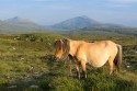 20130721_Schottland_08071