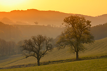 Morgenstimmung im Land der 1000 Hügel