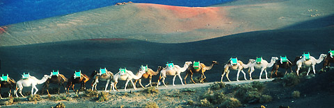 Nationalpark Timanfaya
